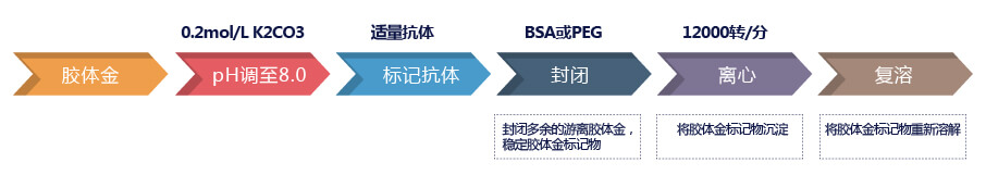 膠體金標記流程圖