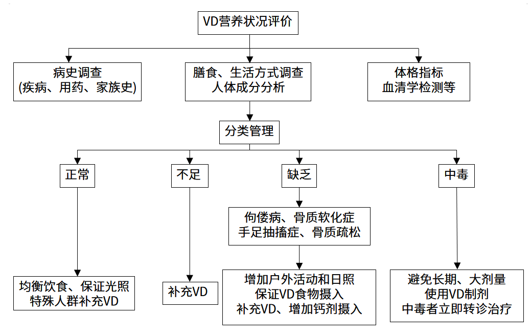 維生素D營養狀況人群篩查的實施流程