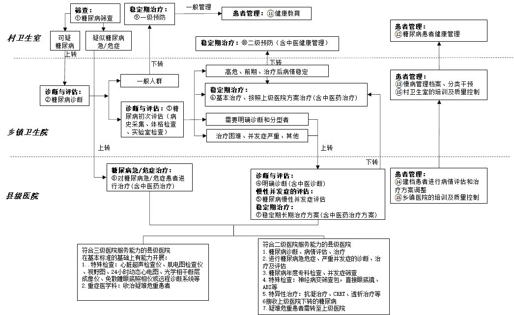 縣域糖尿病分級診療臨床路徑