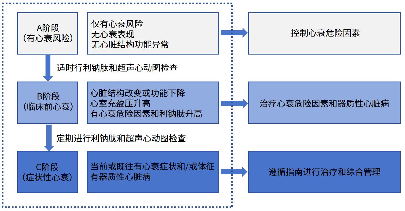 心力衰竭(心衰)早期篩查與管理流程